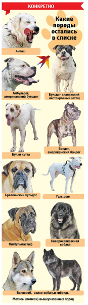 Почему алабаев и других собак убрали из списка опасных, хотя они продолжают нападать на людей