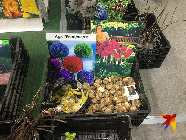 Покупка семян превратилась в лотерею: на садоводческих выставках в Москве процветает обман